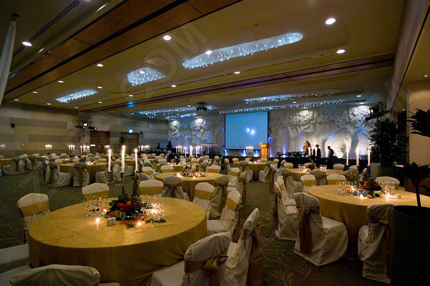 Other Fiber Optic Lighting Projects reference 7
