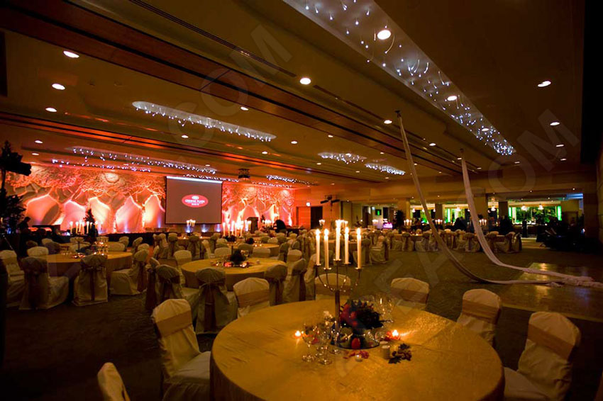 Other Fiber Optic Lighting Projects reference 8